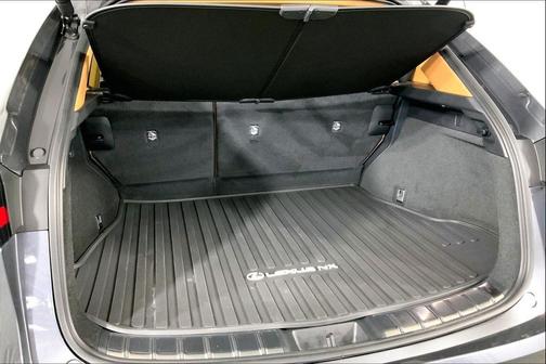 2025 Lexus NX 250 Base