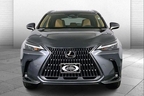 2025 Lexus NX 250 Base