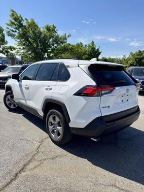 Ice Cap 2024 Toyota RAV4 XLE