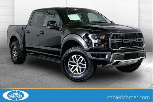 SHADOW BLACK 2018 Ford F-150 Raptor