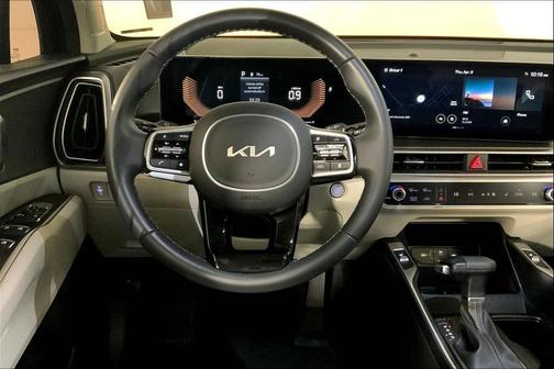 Panthera Metal 2025 Kia Sorento EX