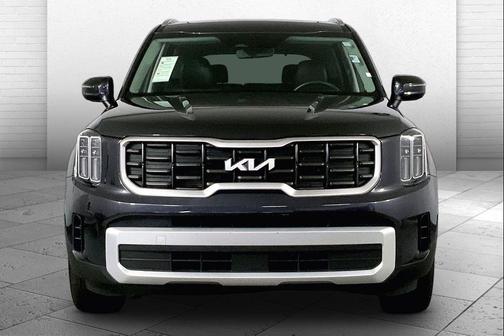 Panthera Metal 2025 Kia Telluride S