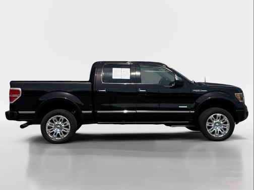 Kodiak Brown Metallic 2013 Ford F-150 Platinum