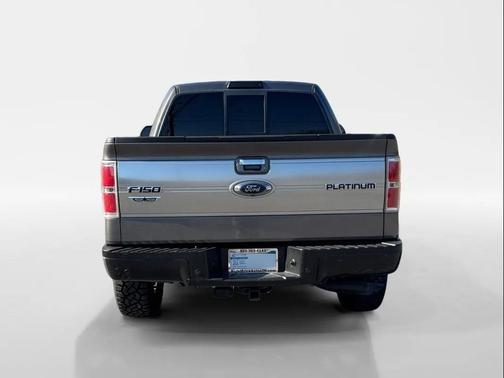 2014 Ford F-150 Platinum