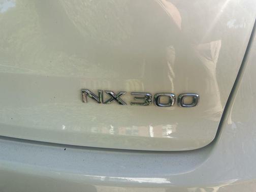 2021 Lexus NX 300 F Sport