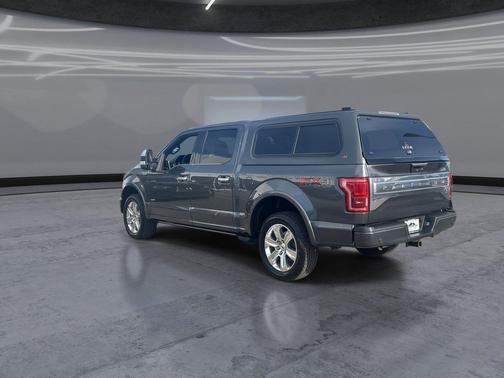 Magnetic 2016 Ford F-150 Platinum