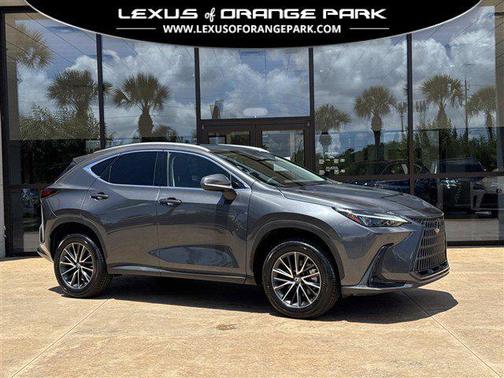 Cloudburst Gray 2023 Lexus NX 250 Premium