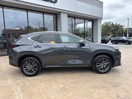 2025 Lexus NX 250 Premium