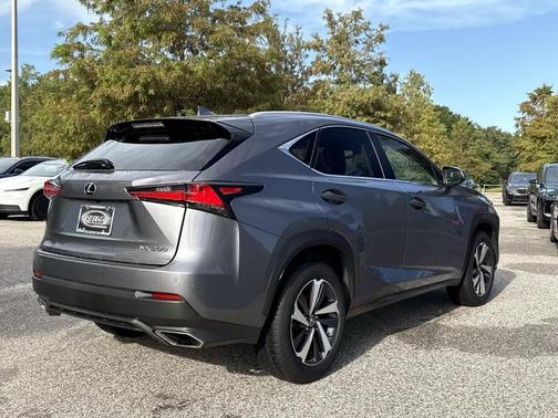Gray Pearl 2019 Lexus NX 300 Base