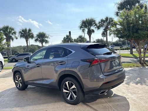 Gray Pearl 2019 Lexus NX 300 Base