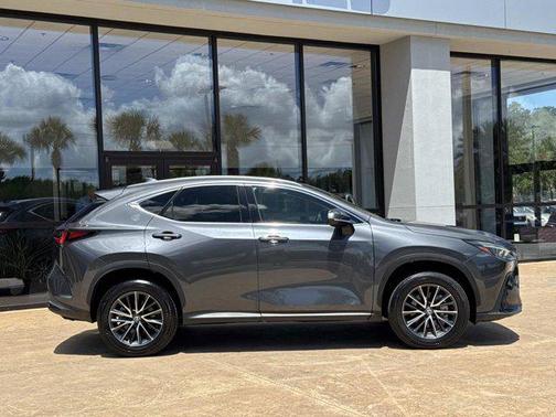 Cloudburst Gray 2024 Lexus NX 250 Premium
