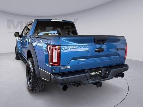 Ford Performance Blue Metallic 2019 Ford F-150 Raptor