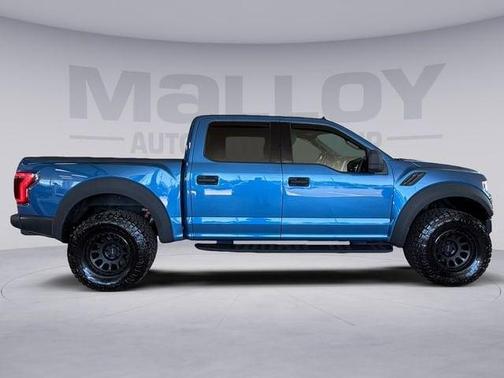 Ford Performance Blue Metallic 2019 Ford F-150 Raptor