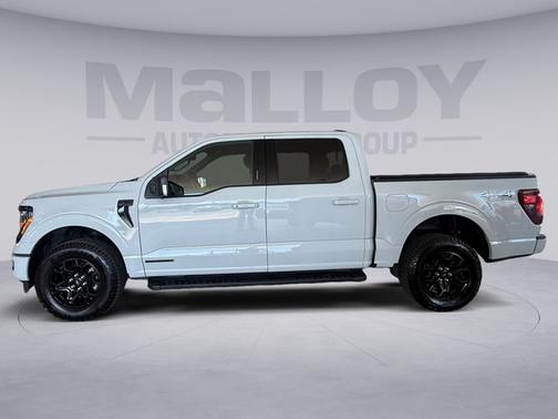 AVALANCHE 2024 Ford F-150 XLT