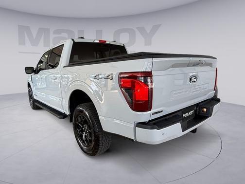 AVALANCHE 2024 Ford F-150 XLT