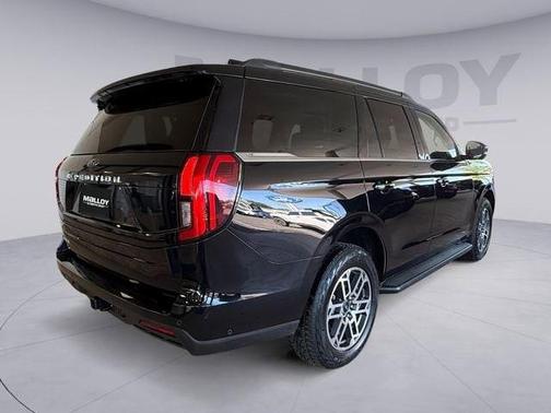AGATE BLACK METALLIC 2025 Ford Expedition ACTIVE