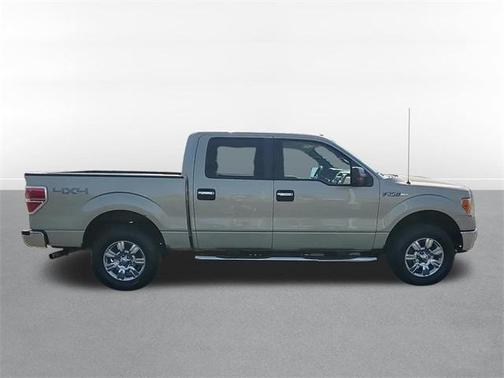 2010 Ford F-150 