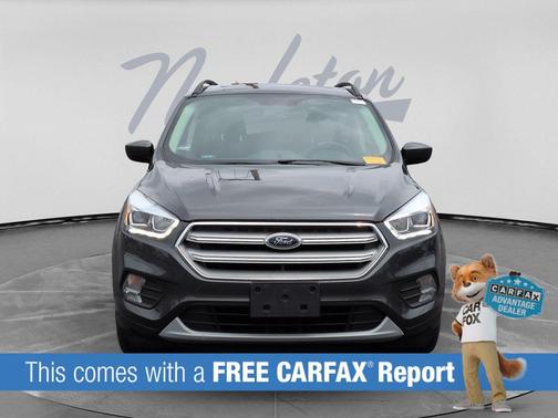 Magnetic 2019 Ford Escape SEL