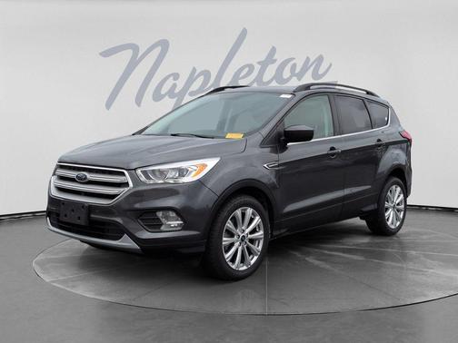 Magnetic 2019 Ford Escape SEL