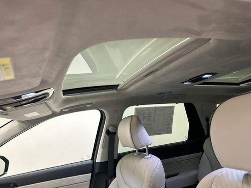 Abyss Black Pearl 2025 Hyundai PALISADE Calligraphy