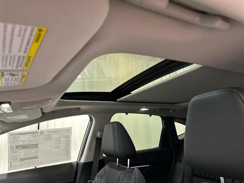 Champagne Silve 2026 Nissan Murano Platinum