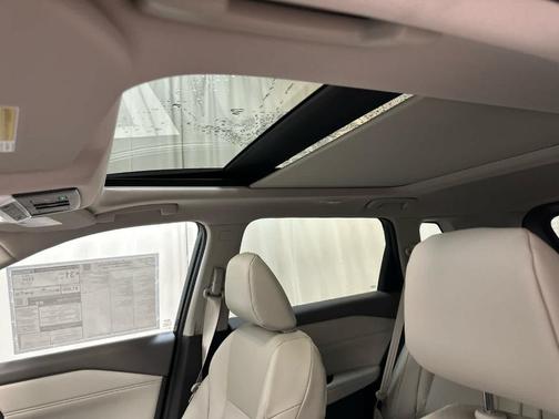 Obsidian Green 2026 Nissan Rogue Dark Armor