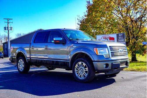 2010 Ford F-150 Platinum