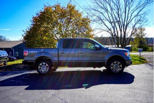 2010 Ford F-150 Platinum