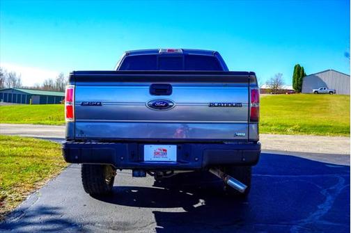 2010 Ford F-150 Platinum
