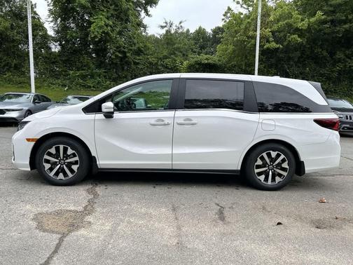 Platinum White Pearl 2026 Honda Odyssey EX-L