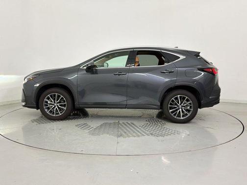 Cloudburst Gray 2025 Lexus NX 250 Premium