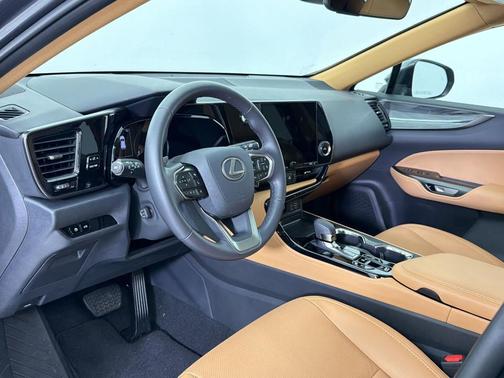 Cloudburst Gray 2025 Lexus NX 250 Premium