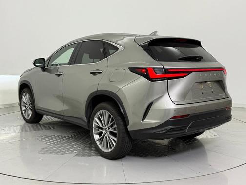 2023 Lexus NX 350h Luxury