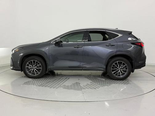 2024 Lexus NX 350h Luxury