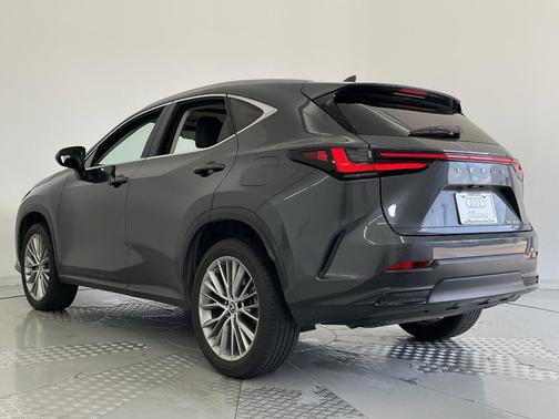 2023 Lexus NX 350 Luxury
