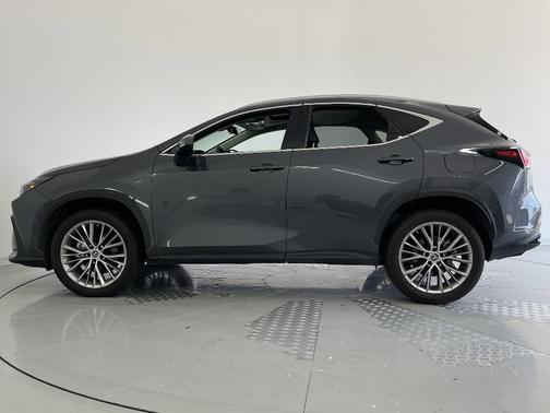 2023 Lexus NX 350 Luxury