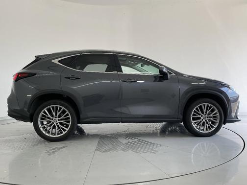 2023 Lexus NX 350 Luxury