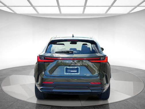 Nori Green Pearl 2024 Lexus NX 350 Premium