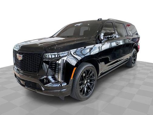 Black Raven 2025 Cadillac Escalade ESV Sport