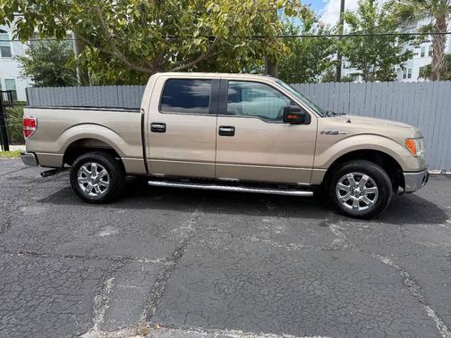 Champagne 2013 Ford F-150 XLT