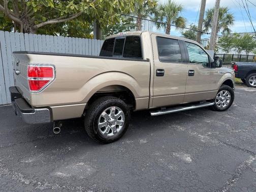 Champagne 2013 Ford F-150 XLT