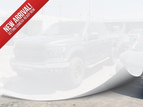 MAGNETIC 2019 Ford F-150 XLT