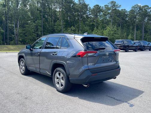 Magnetic Gray Metallic 2025 Toyota RAV4 XLE