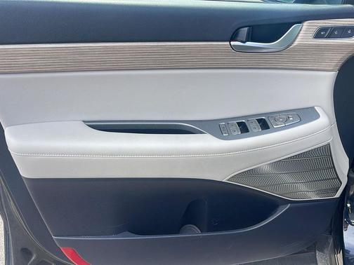 Moonlight Cloud 2022 Hyundai PALISADE Limited