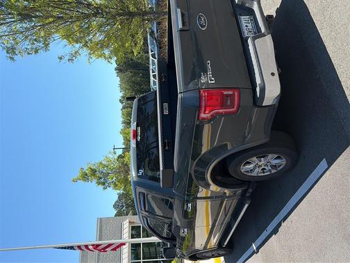 GUARD METALLIC 2015 Ford F-150 Lariat