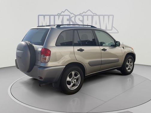 Vintage Gold Metallic 2003 Toyota RAV4 Base