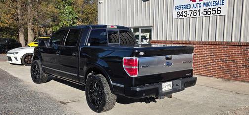 2013 Ford F-150 Platinum