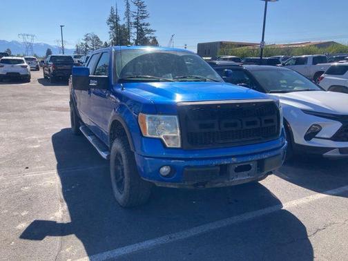 2010 Ford F-150 FX4 SuperCrew