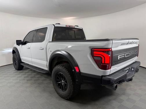 Avalanche 2024 Ford F-150 Raptor