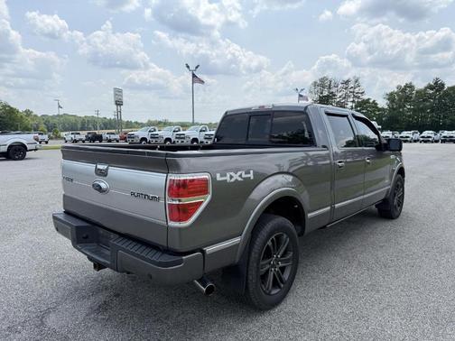 2013 Ford F-150 Platinum